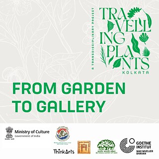 From Garden to Gallery square