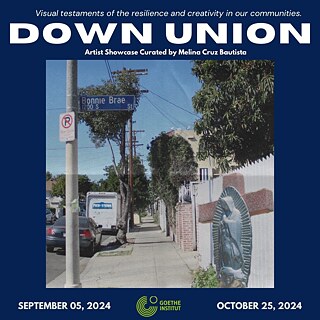 Key art NIC Down Union