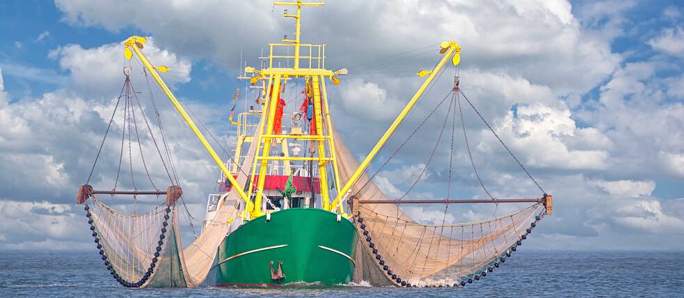 Eben noch im Schleppnetz, gleich schon als Snack im Brötchen – Nordseegarnelen stehen im Norden auf fast jeder Speisekarte.