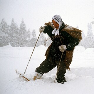 Bajo nieve