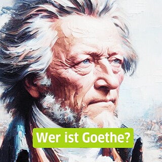 Johann Wolfgang von Goethe - Even at a young age, Goethe had a remarkable political career. 