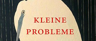 Nele Pollatschek: Kleine Probleme