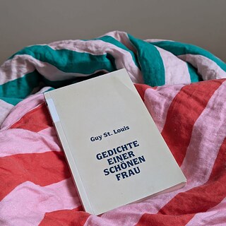 The book ‘Gedichte einer schönen Frau’ lies on a duvet striped with pink, red and green.