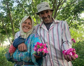 Asiya und Hassan Ibrahim kümmern sich um die Ernte in Nayreb, Syrien.