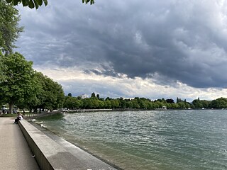 Seeufer in Bregenz