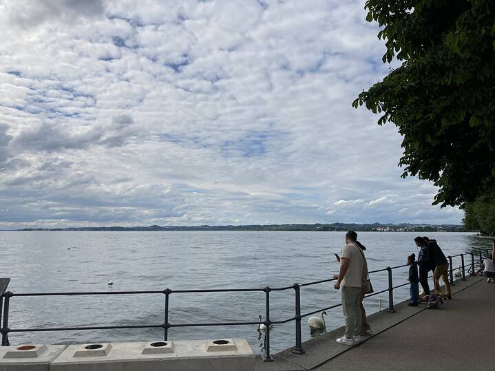 Personen beim Fotografieren am Seeufer in Bregenz