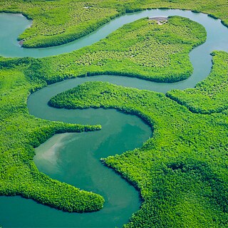 A wooded area with a natural river