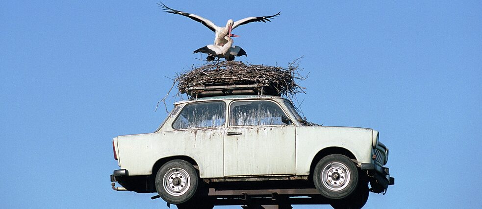 A stork's nest on a Trabi, Neuruppin, Brandenburg, 2004