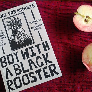 The book 'Boy with a Black Rooster' is lying on a red blanket along with two apple halves 