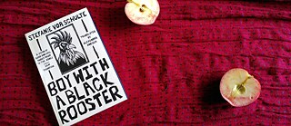 The book 'Boy with a Black Rooster' is lying on a red blanket along with two apple halves 