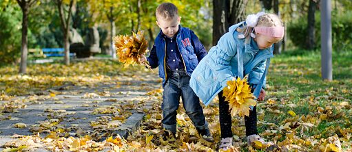 Kinder sammeln bunte Herbstblätter im Park.