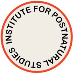 Logo Institute for Postnatural Studies