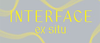 INTERFACE EX SITU