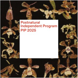 qr - Postnatural Independent Program 2025