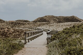 Heidelandschaft auf Sylt