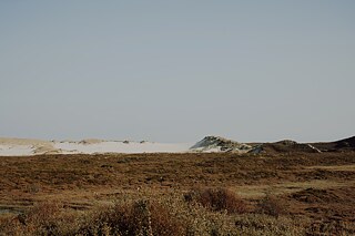 Wanderdüne auf der Insel Sylt