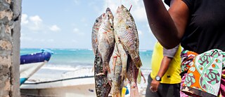 Fishmongers buy their fish from the fishermen on the beach in Mtondia