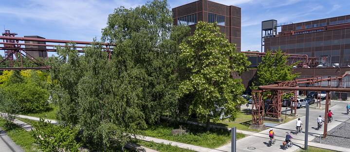 The Zollverein complex has many faces: the park where the coal trains used to run is now the perfect place for cycling and strolling.