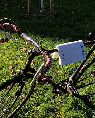 A black men's bicycle with pink-speckled handlebars is standing in a meadow, with a copy of Fabian Saul's book Die Trauer der Tangente hanging over the crossbar.