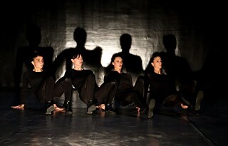 Picture of the performance by Cocoon Dance