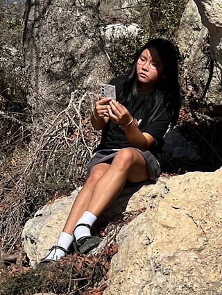 Eine junge Frau mit langem, glatten, schwarzen Haar sitzt auf einem Felsen und blickt auf ihr Smartphone. Auf ihrem Gesicht sind dunkle Streifen zu erkennen.