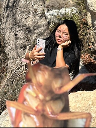 Eine junge Frau mit langem, glatten, schwarzen Haar sitzt auf einem Felsen und blickt auf ihr Smartphone. Ein übergroßes Insekt überlagert langsam ihren Körper. 