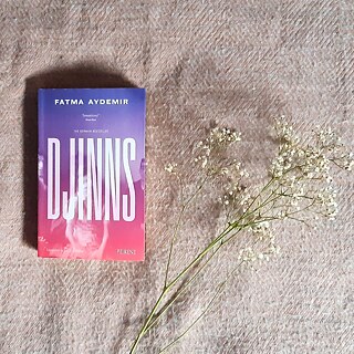 Book cover: Djinns