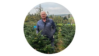 The Christmas tree producer is standing on a slope between fir trees. He has gray hair, wears glasses and is dressed in his work clothes