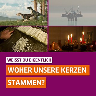 Vier kleine Bilder mit Dinosauriern, einer Erdölraffinerie, Kerzen im Wohnzimmer und Kerzen auf einem Tisch. Darunter Text: "Weißt du eigentlich woher unsere Kerzen stammen?"