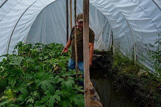 España López in seinem Mikrotunnel, wo er testet, welches Obst und Gemüse dort am besten gedeiht.