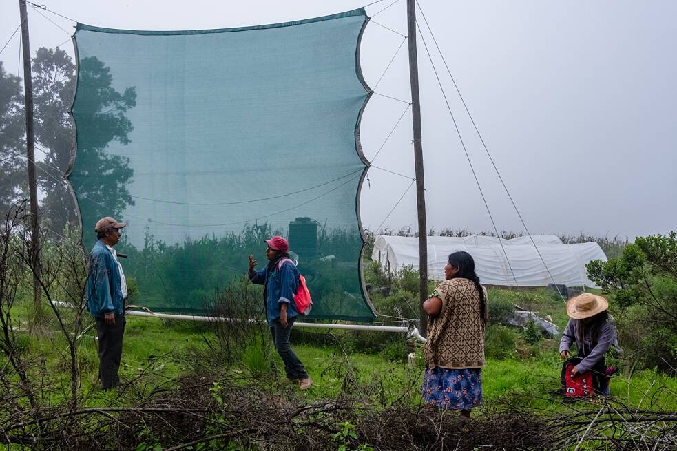 Durch das Netz werden Wassertröpfchen aus dem Nebel im Becken aufgefangen. Das aufgefangene Wasser wird für die Landwirtschaft verwendet.