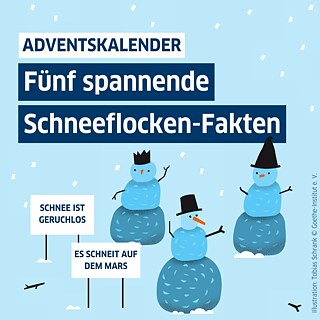 Illustration mehrere Schneemenschen. Text auf Illustration: Adventskalender. Fünf spannende Schneeflocken-Fakten