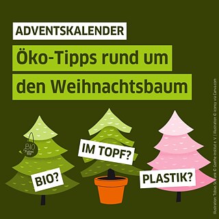 Illustration verschiedener Tannenbäume in Pink, im Topf und mit Bio-Siegel. Text auf Illustration: Adventskalender: Öko-Tipps rund um den Weihnachtsbaum