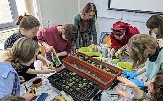 Presádzanie sukulentov v rámci diplomovej práce o úlohe terapeutického záhradníctva ako wellbeingu v čase vojny. 