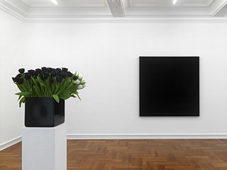 Willem de Rooij: Bouquet VI (2010), more Konzeption Conception now, Museum Morsbroich