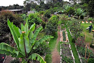 Botanischer Garten in Bogotá
