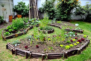 Jardín comunitario y educativo Casa 82 en Bogotá