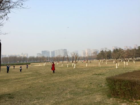 Hallo Daming Palace National Heritage Park