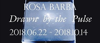 Rosa Barba - Drawn by the pulse