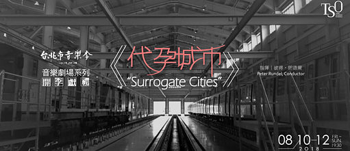 Surrogate Cities