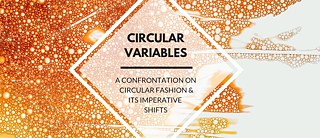 Circular Variables