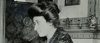 Rosa Luxemburg Writing