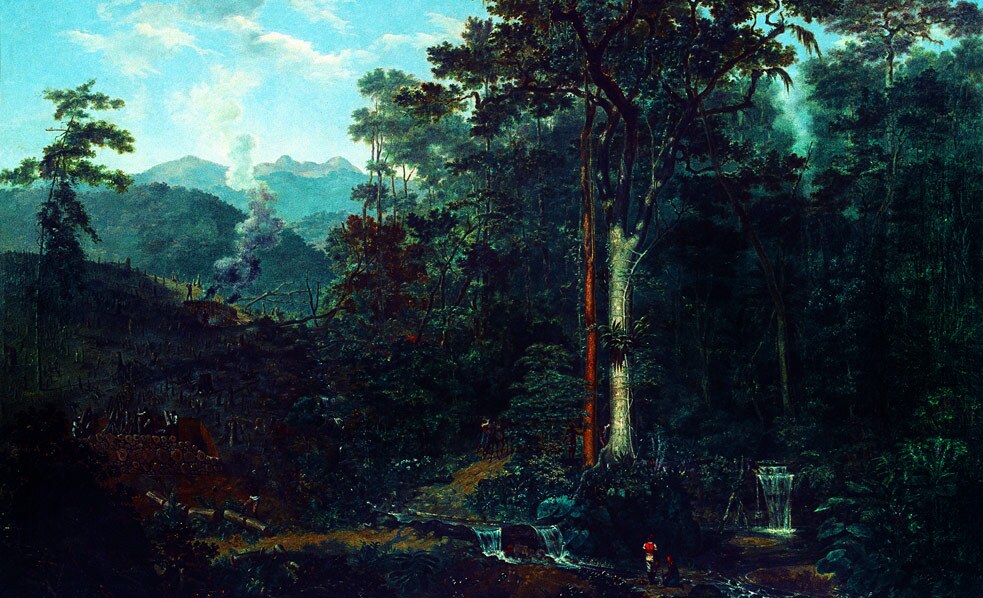 “Vista de um mato virgem que se está reduzindo a carvão”, Félix-Émile Taunay, 1843. Acervo Museu Nacional de Belas Artes/Ibram.