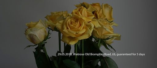 Waitrose Roses in Yellow