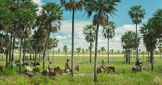 Una escena de la película Zama