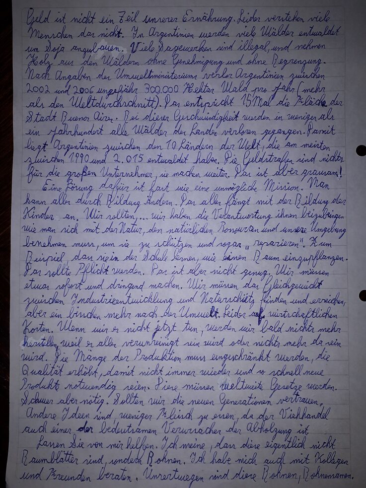 Der Brief von Rodrígo Agustín Neis II