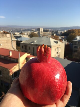 Die letzten Monate gab‘s bei mir um den Vitaminhaushalt aufzufrischen oft und gerne Kaki und Granatapfel