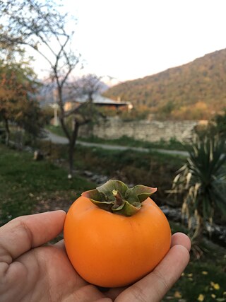 Die letzten Monate gab‘s bei mir um den Vitaminhaushalt aufzufrischen oft und gerne Kaki und Granatapfel