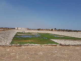 منطقة جافة، وحوض إعادة تغذية بالمياه الجوفية في الوسط، مملوء بالخضرة.
