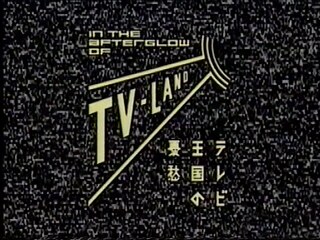 Telexplosion TV-Land Logo ©    Telexplosion TV-Land Teletext-Schwarz